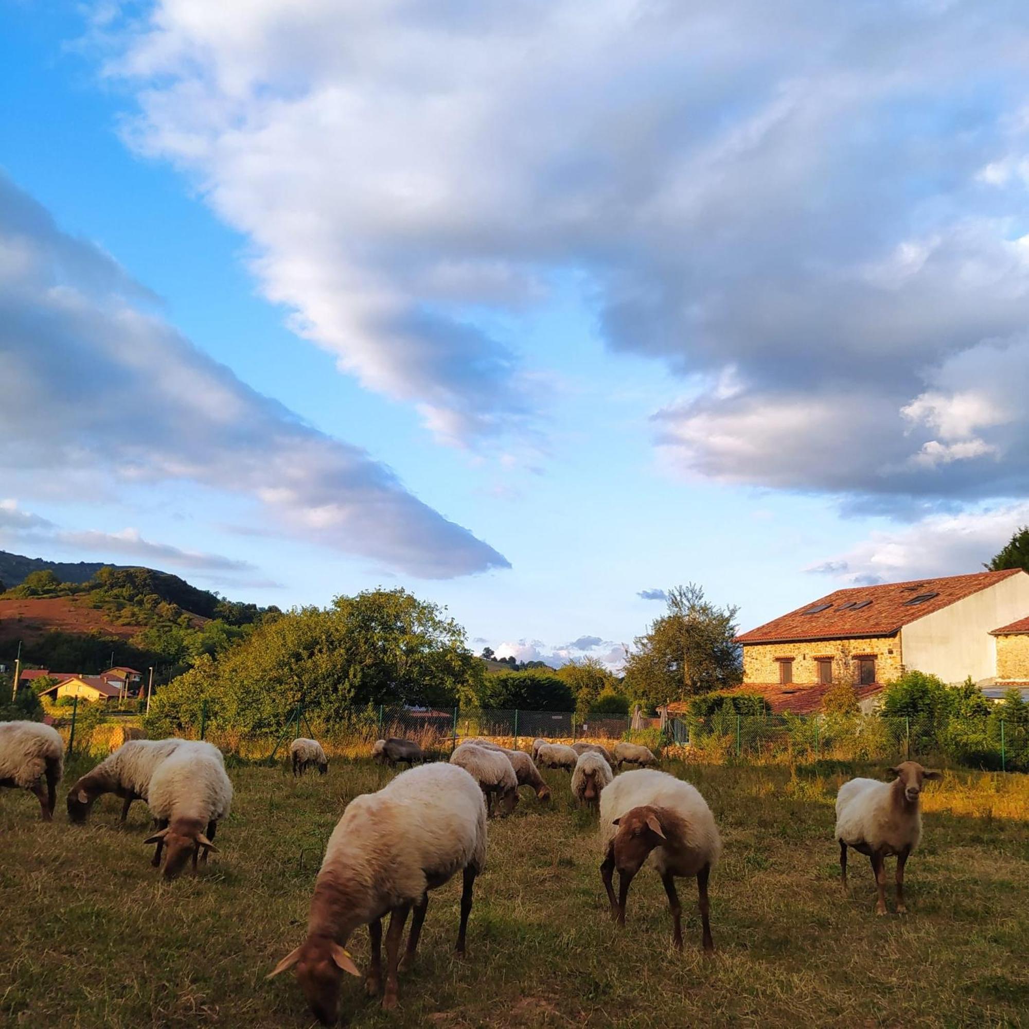 Posada La Corralada Pamanes ภายนอก รูปภาพ